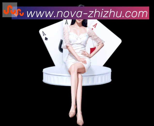 数据分析功能